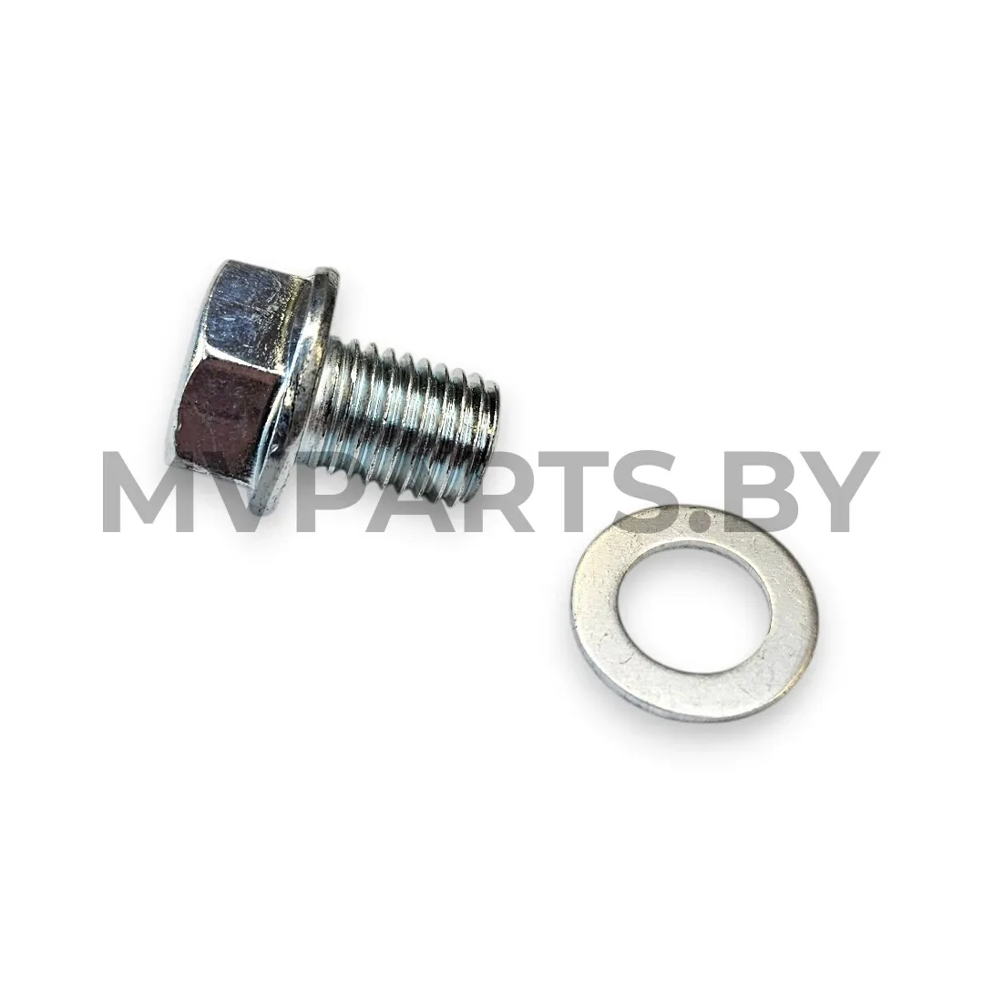 Пробка масляная с магнитом Минск Х250 D4 125 и ZiD