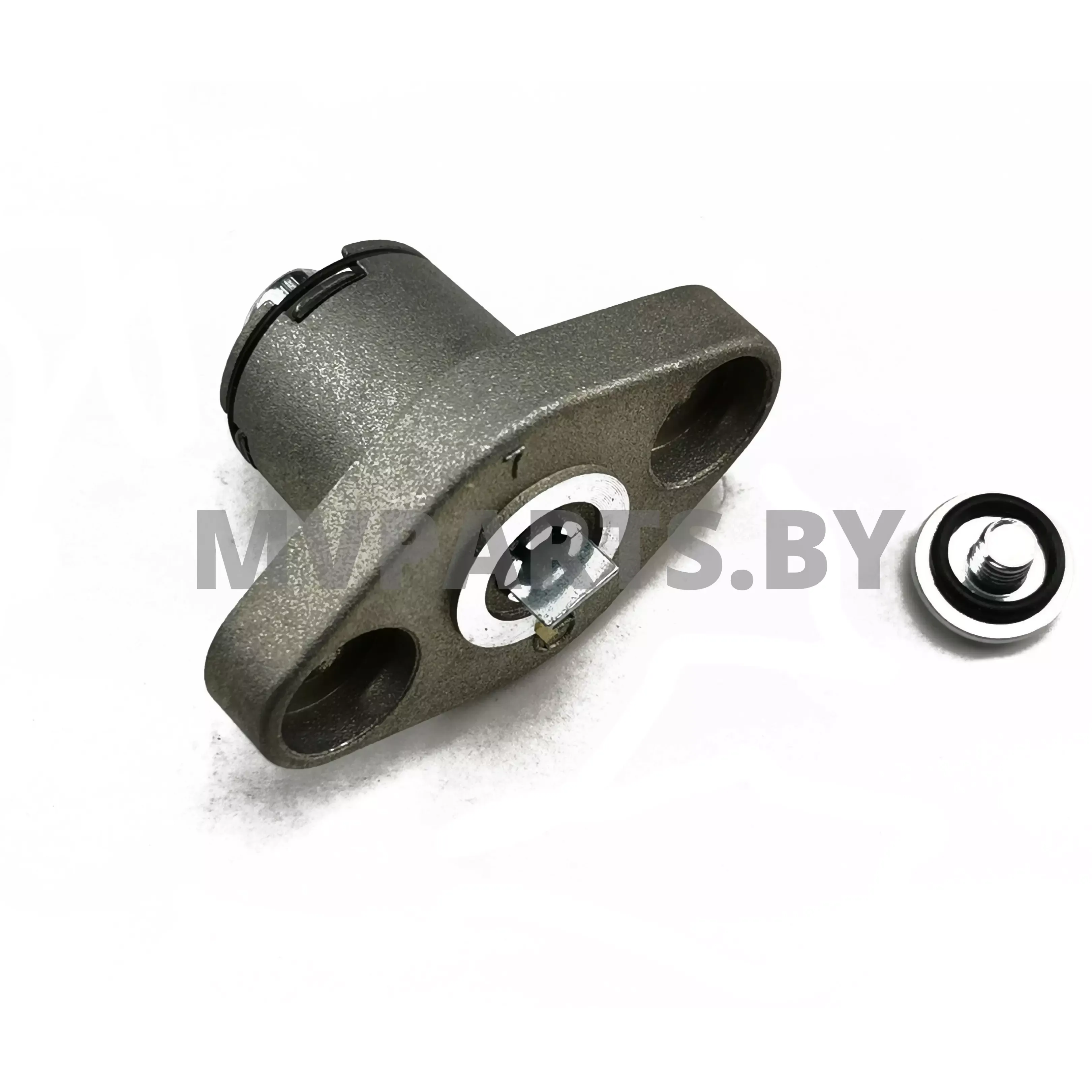 Натяжитель цепи ГРМ (166 FMM) Минск Х250