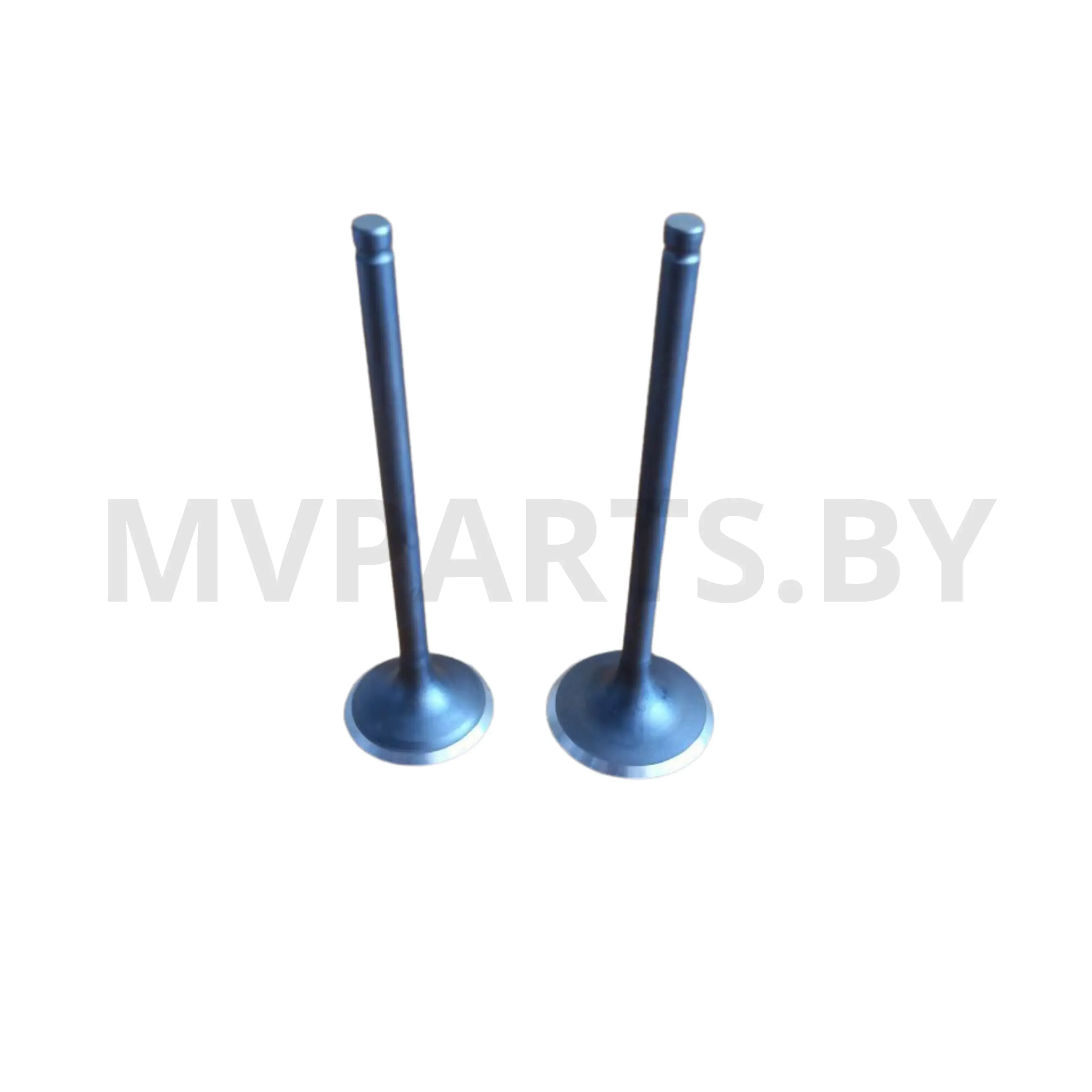 Комплект клапанов Минск GOOSE 400