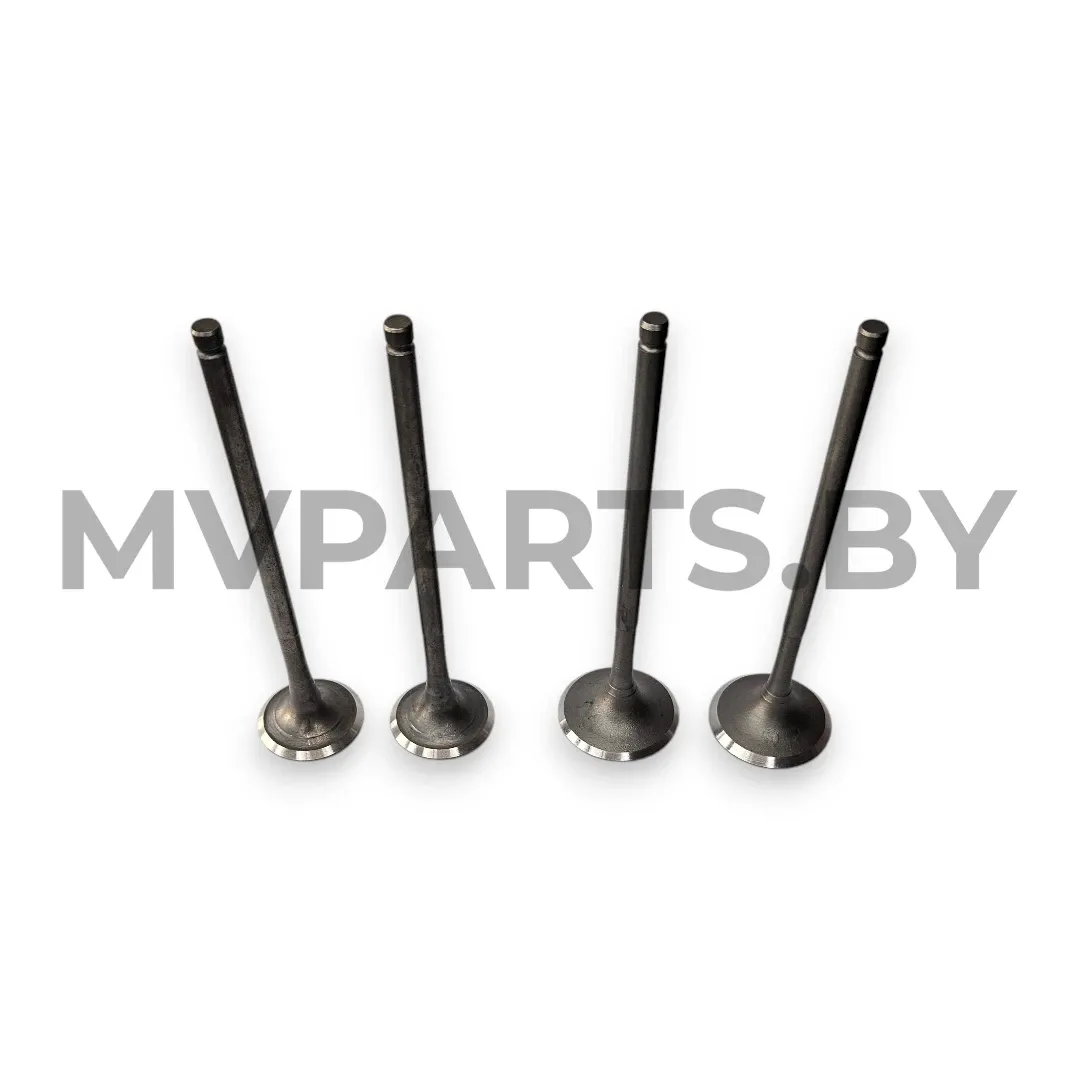 Клапана для двигателя 174MN-3, 177MM